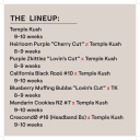 TEMPLE KUSH A LINE M/F MULTIPACK - Image 2