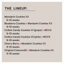 MANDARIN COOKIES FEM MULTIPACK - Image 2