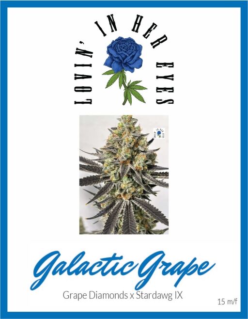 Galactic Grape (LOVIN)
