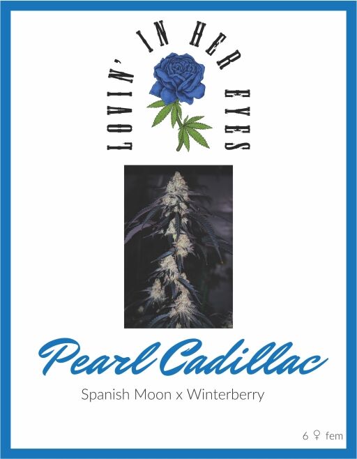 Pearl Cadillac (LOVIN)