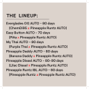 HAPPY VALLEY AUTO MULTIPACK - Image 2