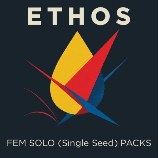 SOLO FEM - Limited & Special Releases