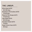 AUTO MULTIPACK #1 - Image 2