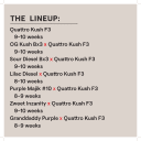 QUATTRO KUSH M/F MULTIPACK - Image 2