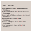 TROPICAL THUNDER AUTO MULTIPACK - Image 2