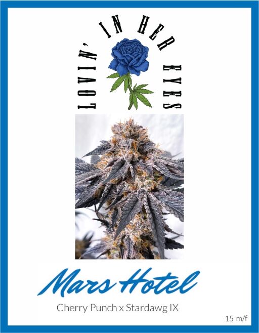 Mars Hotel (LOVIN)