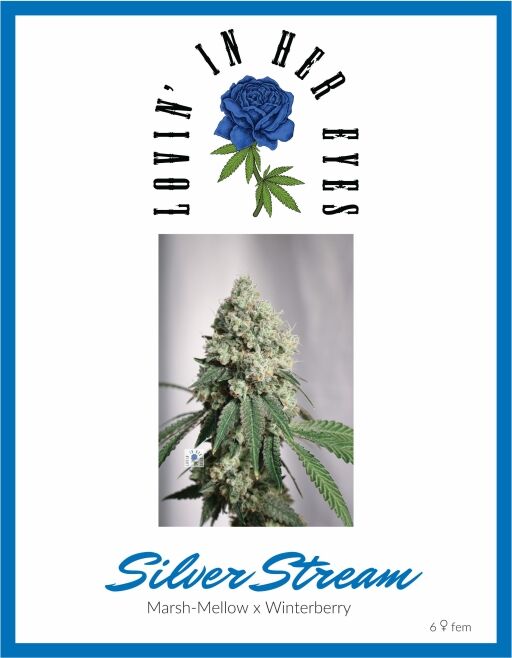 Silver Stream (LOVIN)