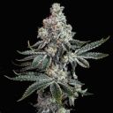 GRANDPA’S COOKIES R2 V1 - Image 2