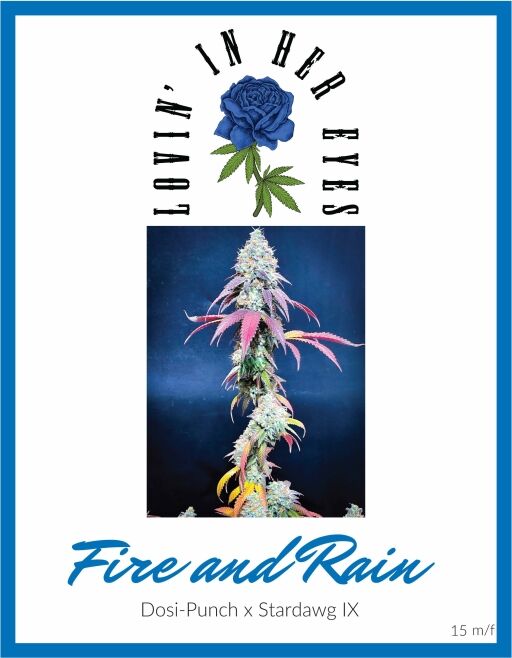 Fire & Rain (LOVIN)
